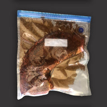 Load image into Gallery viewer, BB Sous Vide vacuum Bags and Pump – 7 Piece set