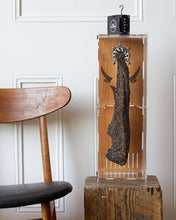 Load image into Gallery viewer, BB1 - Single Piece Bespoke Biltong Drier